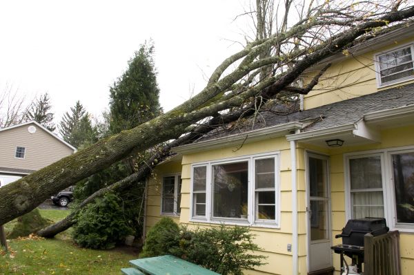 Storm Damage Mitigation Service