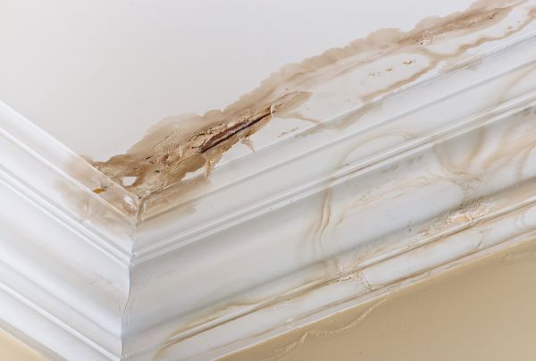Water Damage Recovery
