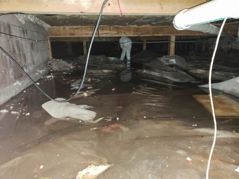 Water Damage Experts